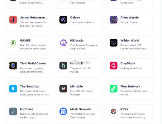 踏空Axie的人都应该看：NFT链游届的“风清扬”