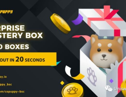 CoPuppy新手最强攻略教程(建议收藏)