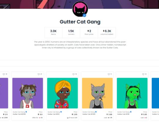 用3000元买了2只“JPG”的猫