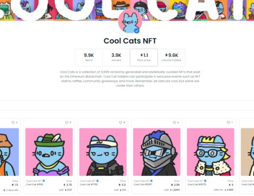 用3000元买了2只“JPG”的猫