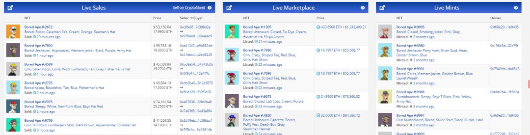 用3000元买了2只“JPG”的猫