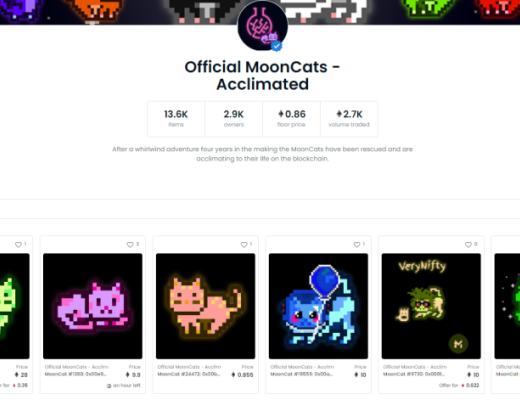 用3000元买了2只“JPG”的猫