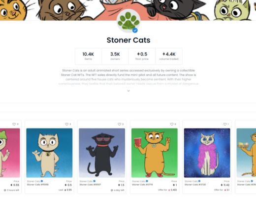 用3000元买了2只“JPG”的猫