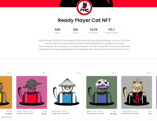 用3000元买了2只“JPG”的猫