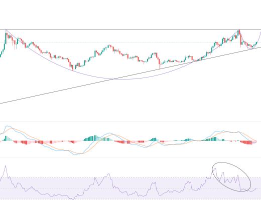 LTC酝酿后期爆发?