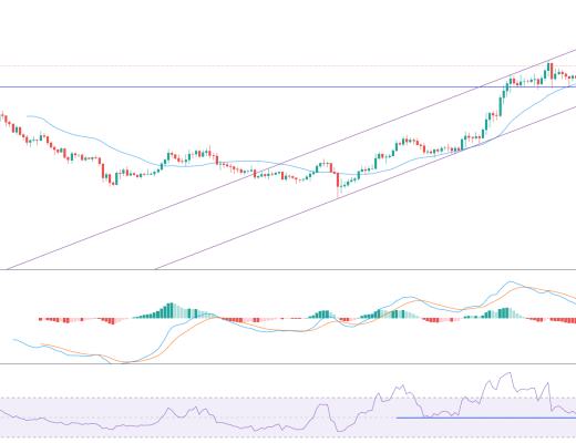 金色趋势丨ADA有望迎来二次爆发？