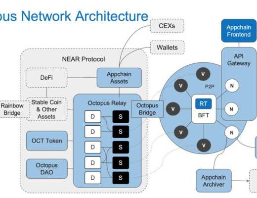 NEAR 生态应用链协议 Octopus 即将开启 IDO 手把手教你如何参与
