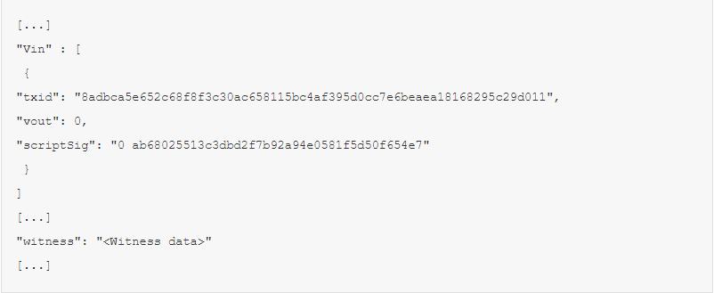 详尽解释隔离见证