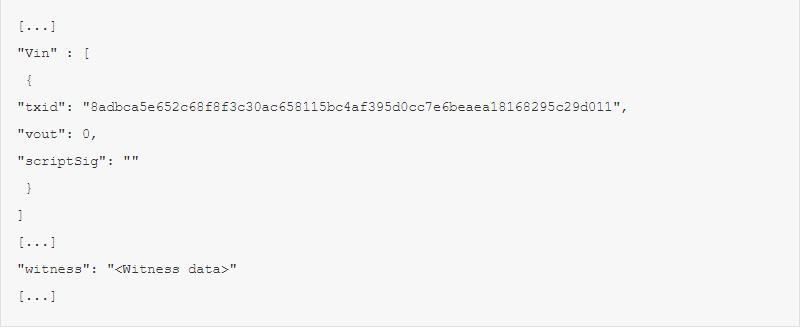 详尽解释隔离见证