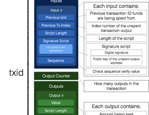 详尽解释隔离见证