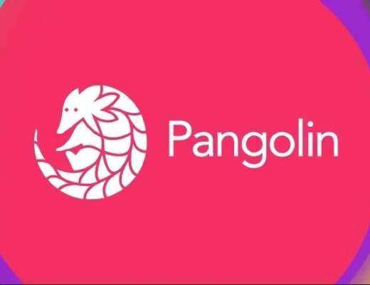 玩转雪崩生态第一站:Pangolin穿山甲去中心化交易所