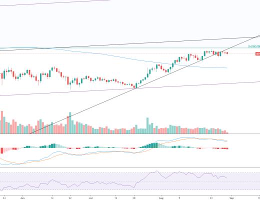 金色趋势丨牛市并未走远 珍惜低吸机会