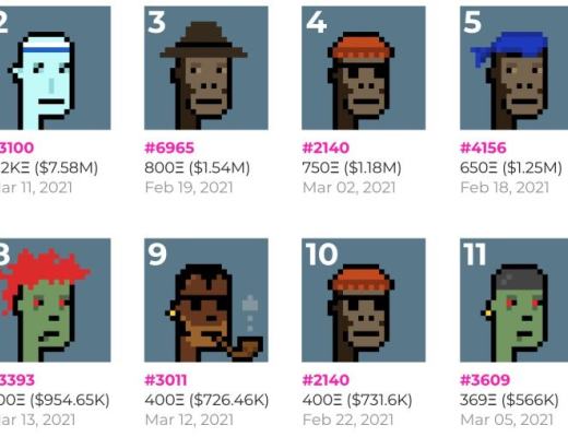 摇篮(物种起源):Cradles会引领比Loot更牛的NFT范式革命吗?