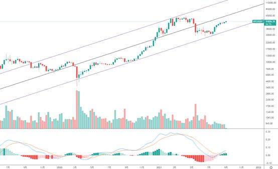 金色趋势丨周线连阳 酝酿牛市后期疯狂行情