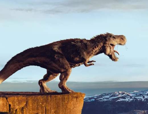 摇篮(物种起源):Cradles会引领比Loot更牛的NFT范式革命吗?