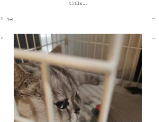 觅新 | 如何在推文交易平台Cent 上购买和出售NFT