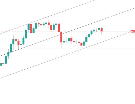 金色趋势丨牛市结束了还是机会来了?