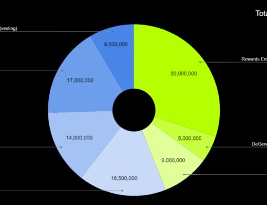 投研报告：TOKEMAK项目解析