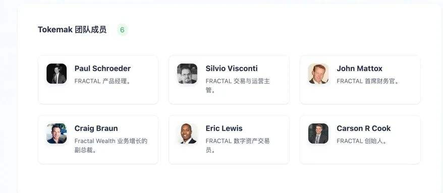 投研报告：TOKEMAK项目解析