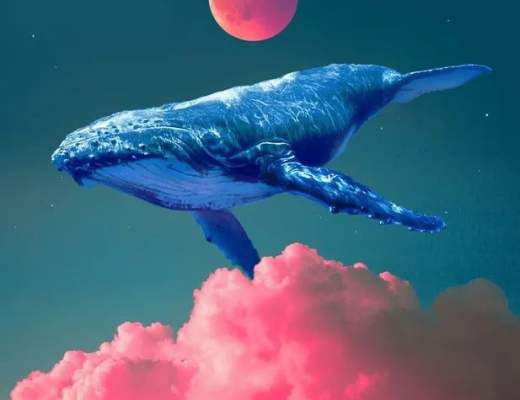 WHALE 流动性挖矿:持有 WHALE = 赚取 WHALEWHALE 流动性挖矿
