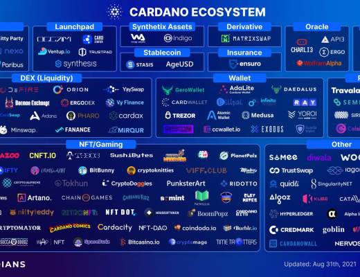 Cardano生态初体验:未来之路也许并不难走