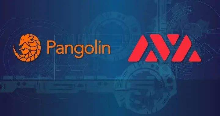 手把手教你如何在Pangolin上成为流动性提供者