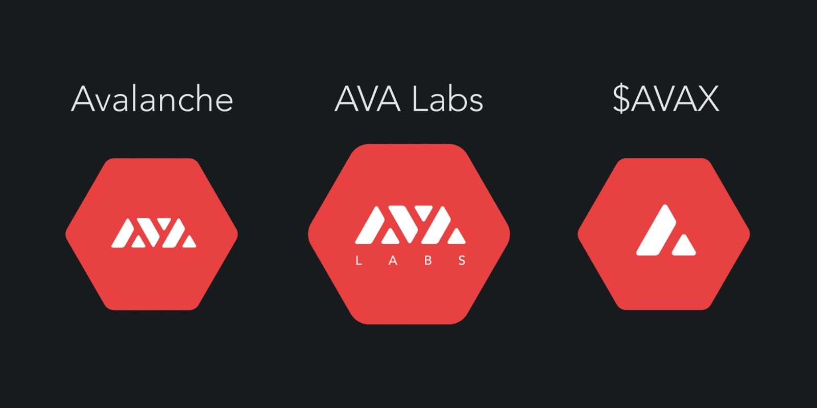 以雪崩之势改造世界 纵览 Avalanche 生态