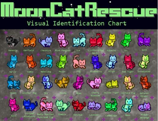 详解“起死回生”的NFT：Mooncat的前世今生