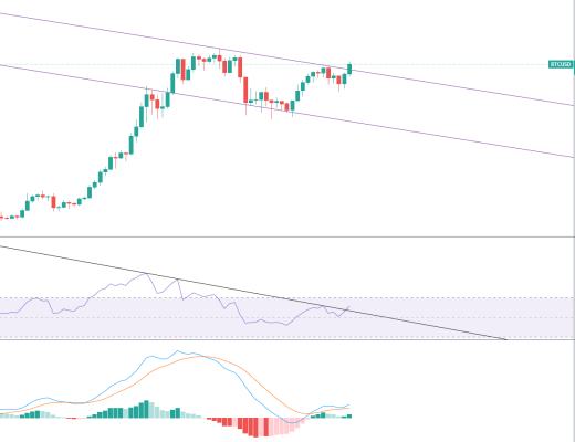 金色趋势丨BTC震荡蓄力等待下一波拉升?