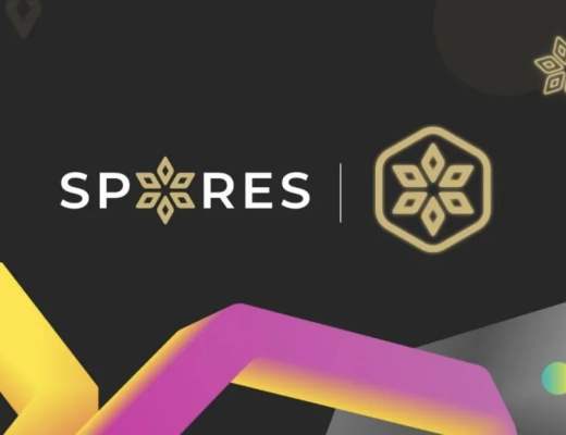 Cardano上实力派NFT平台 Spores Network打造多元艺术平台