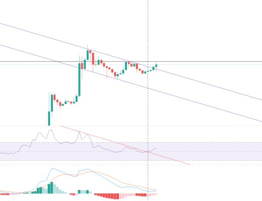 金色趋势丨狗狗币有望重新走强？