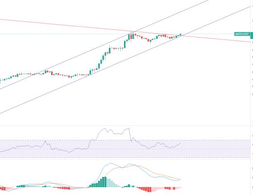 金色趋势丨MATIC酝酿走强迹象?