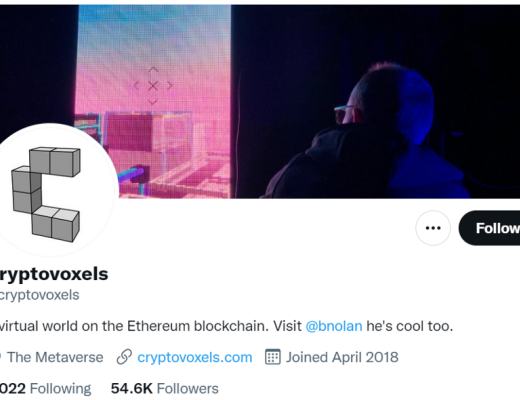 盘点十大元宇宙项目 （上）