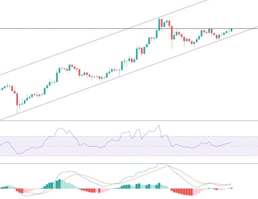 金色趋势丨VET即将形成大双底?