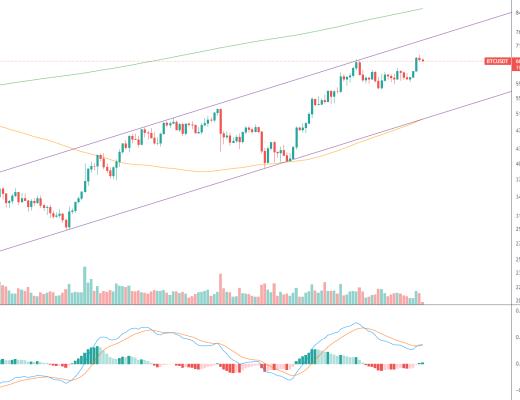 金色趋势丨BTC短期调整为了再创新高?