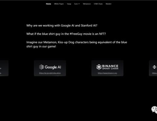 超强背书+轻松P2E Metamon 元兽 (RACA)