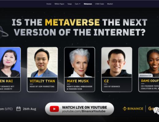 超强背书+轻松P2E Metamon 元兽 (RACA)