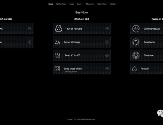 超强背书+轻松P2E Metamon 元兽 (RACA)