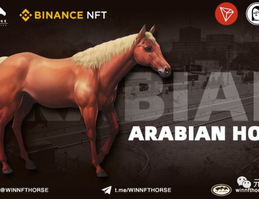 波场王炸GameFI(赛马游戏):WIN NFT HROSE