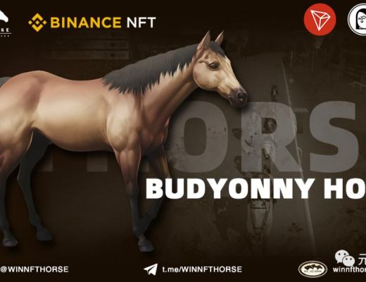 波场王炸GameFI(赛马游戏):WIN NFT HROSE