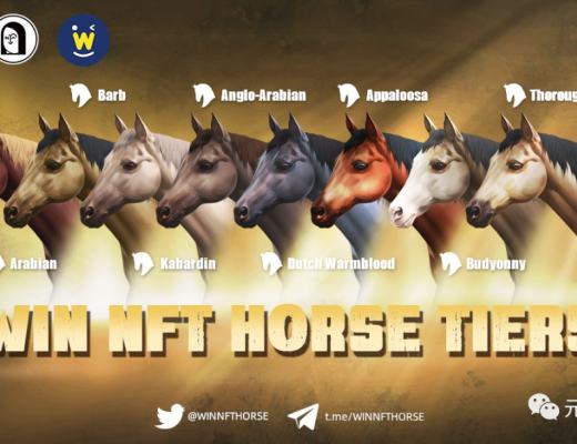 波场王炸GameFI(赛马游戏):WIN NFT HROSE