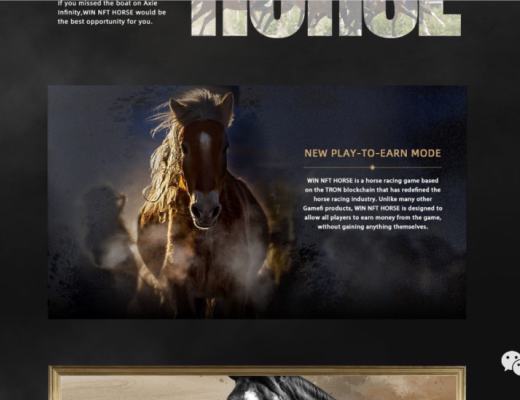 波场王炸GameFI(赛马游戏):WIN NFT HROSE