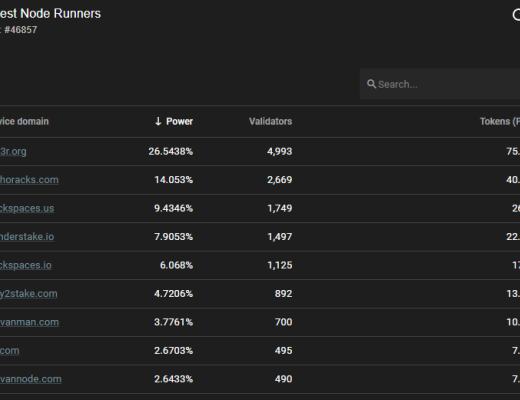 Pocket Network：Web3基础设施层的革命者
第三节 业务分析
第四节 初步价值评估