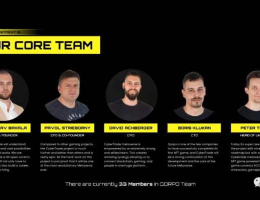 
      IOI Games旗下游戏：Cybertrade