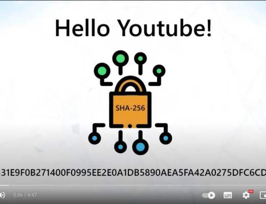 智能合约开发者路线图