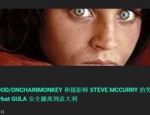 
      一夜涨了1e？OnChainMonkey NFT项目分析