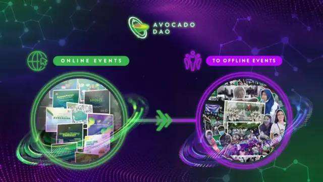 
      链游公会Avocado Guild发家史：回归游戏本质