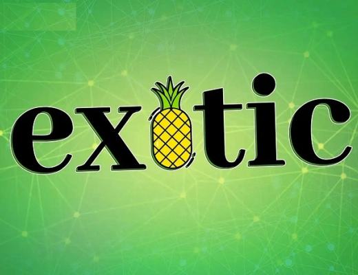 
      将投资策略化繁为简 Exotic Markets想成为“加密私人银行”