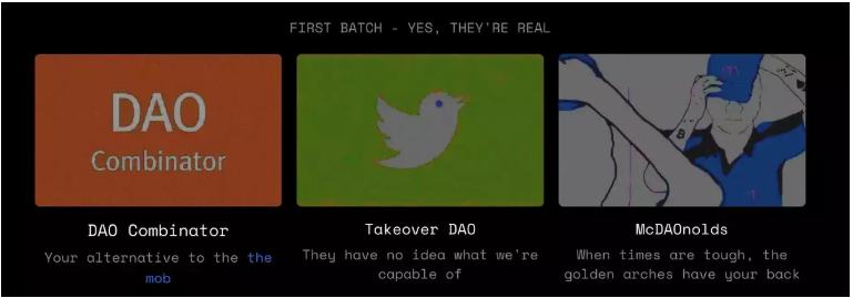 
      BitClout创始人的新项目DAODAO：人民的DAO工具