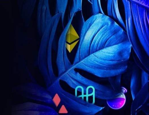 
      Cosmos生态空投分享第二弹 8个项目抢先参与